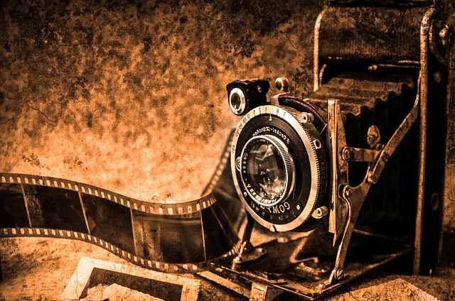 pixabay_c1e5cef27dc538e270d176634d6f2966.jpg